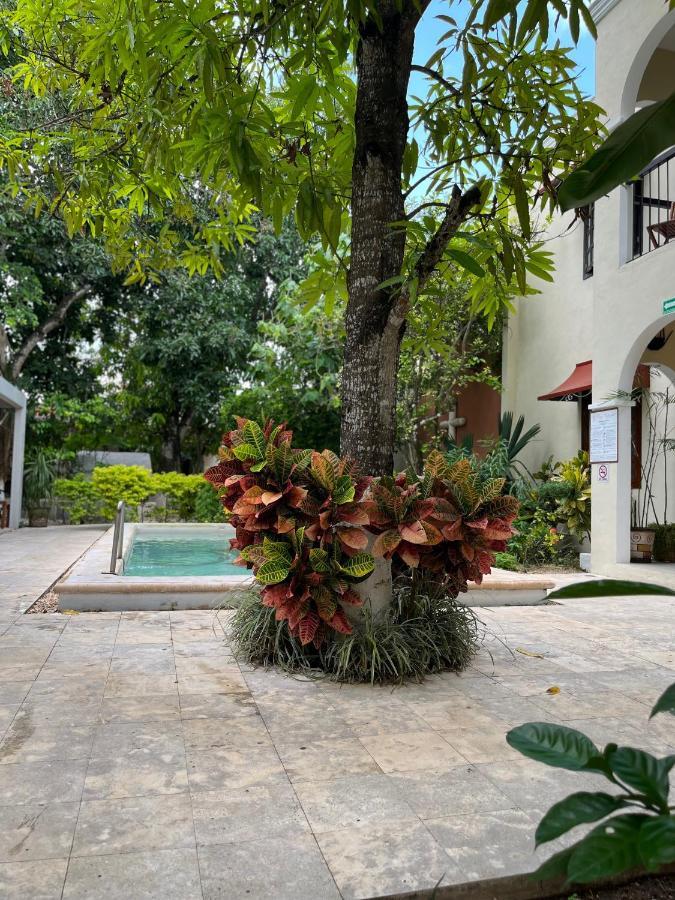 Casa Valladolid Boutique Hotel 外观 照片